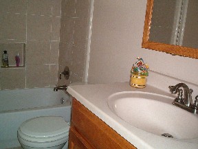 silver_and_gold bathrooms 008.JPG